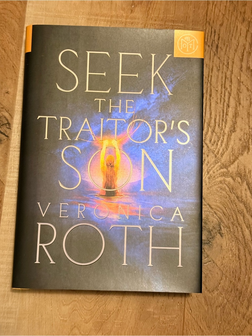 Seek the Traitor's Son - Veronica Roth